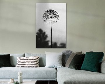 Heracleum mantegazzianum by Franka Poulain