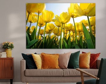 Yellow Tulips - Holland by Roelof Foppen