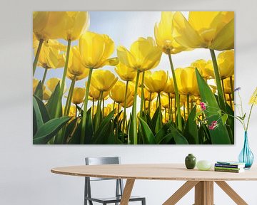 Gele Tulpen - Holland van Roelof Foppen