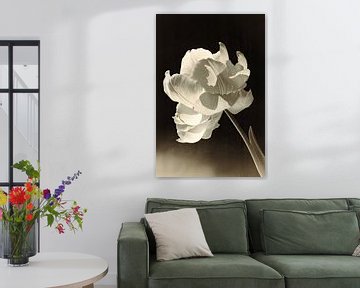 Bloem in oude fototechniek van Franka Poulain