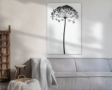 Heracleum mantegazzianum van Franka Poulain