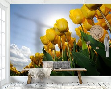 Yellow Tulips at the Keukenhof by Roelof Foppen