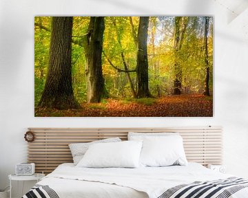 herfst in het bos