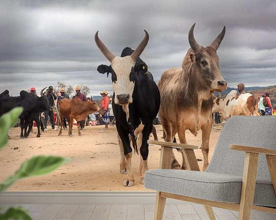 Aperçu de la chambre