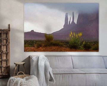 Monument Valley, Utah, Amerika van Henk Alblas