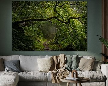 Chemin forestier dans le brouillard sur Andreas Gärtner