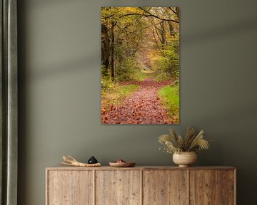 Het bos in. Mooi op canvas of acryl. van Josine Claasen