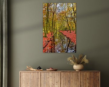 Water in the forest with autumn colors by vincentdevriesfoto.nl
