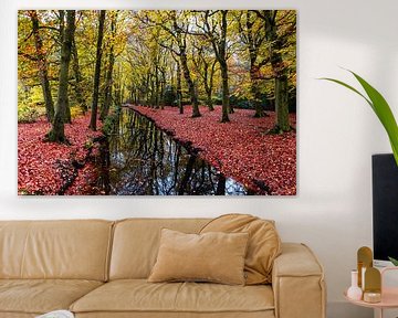 Water in the forest with autumn colors by vincentdevriesfoto.nl