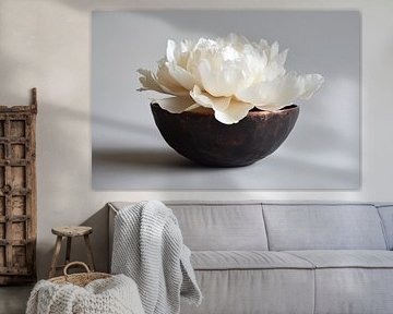 White peony in copper bowl