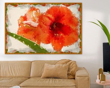 Amaryllis