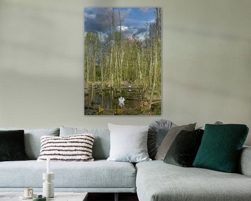 Landschaft im Schwalm-Nette Naturpark von Peter Eckert