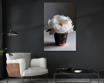 White peony in pot