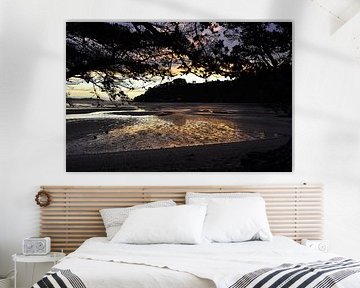 Golden moments on the Coromandel peninsula by Frank Photos
