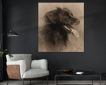 Zwarte Hond (sepia) van Leo Huijzer