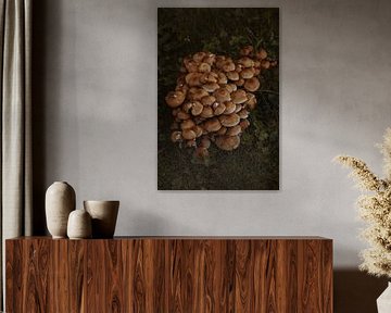 De paddenstoelen