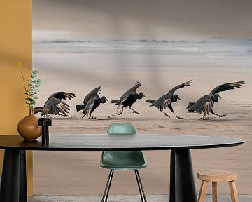 Ritual Dance of Vultures on the Beach by Femke Ketelaar