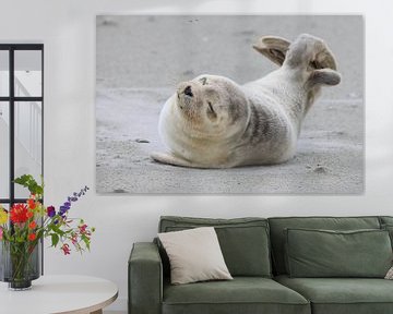 Sceau sur Rinnie Wijnstra (FotoAmeland )