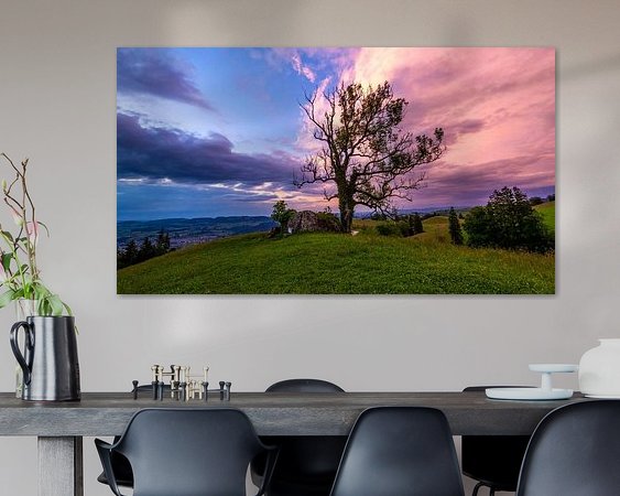 Aperçu de la chambre