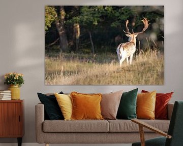 Deer on the lookout