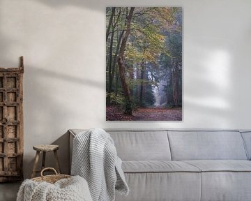 Misty autumn morning in Speulder forest (portrait) by Cor de Hamer