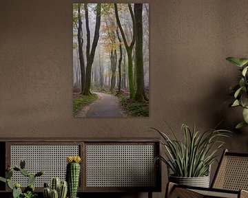 Kronkelend fietspad door het herfst bos by Cor de Hamer