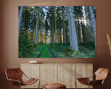 Mystischer Schwarzwald van Tanja Voigt