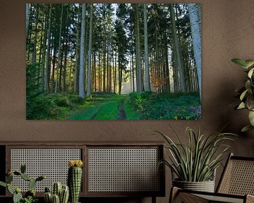 Spätherbst im Schwarzwald van Tanja Voigt