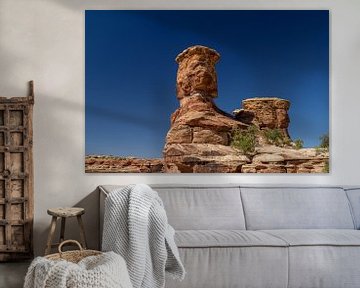 Canyonlands, een verrassend landschap by Gerry van Roosmalen