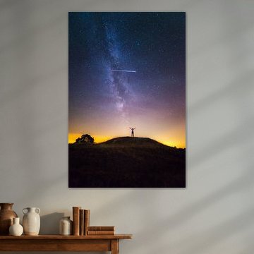 Alone in the Universe by Albert Dros