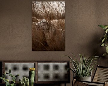 Verzonken in het Riet - Schaap in Dromerig Landschap van Femke Ketelaar