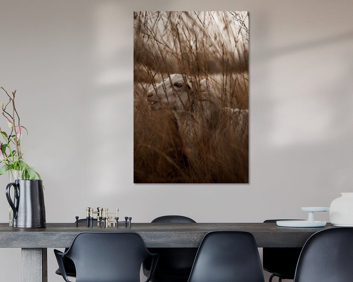 Raumvorschau
