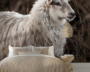Rustic Portrait of a Serene Sheep by Femke Ketelaar