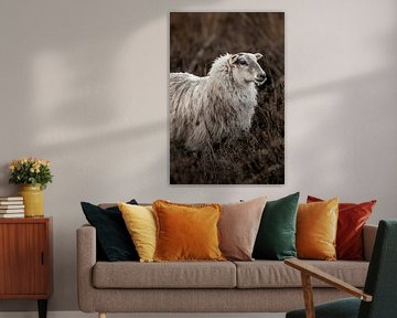 Rustiek Portret van een Sereen Schaap van Femke Ketelaar