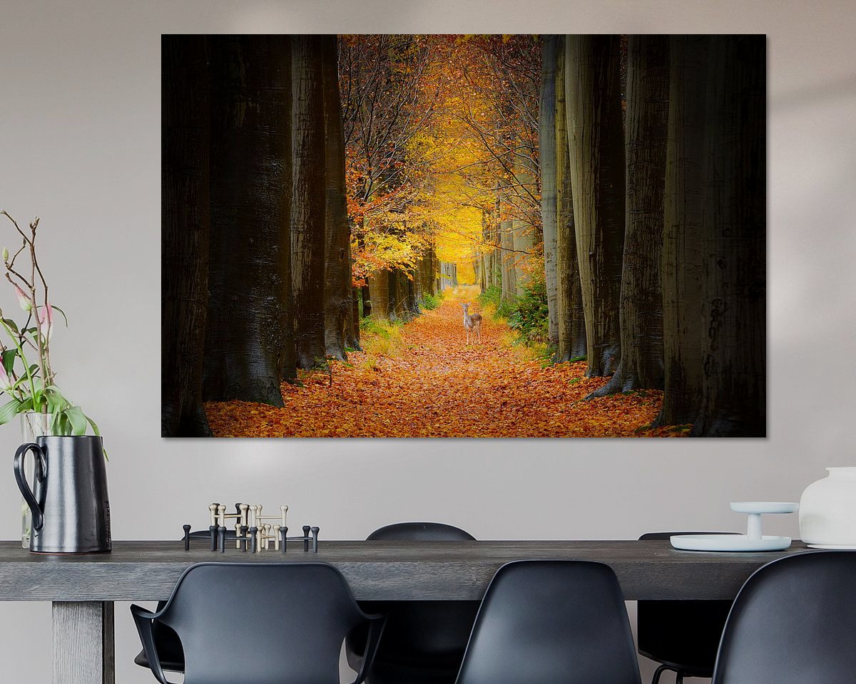 Voorbeeld van het werk in een kamer