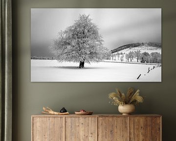 Suikerboom in de besneeuwde Rhön van Flatfield