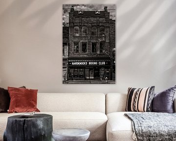 Nr. 358 Queen St E 1 van The Learning Curve Photography