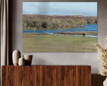 Nationaal Park Duinen van Texel (De Muy) met Zilverreiger