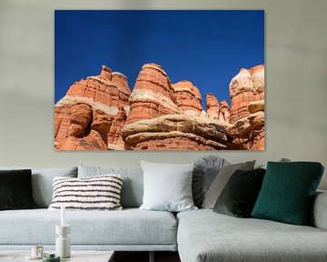 Canyonlands, The Needles District I by Gerry van Roosmalen
