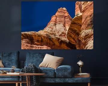 Canyonlands, The Needles District II by Gerry van Roosmalen