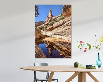 Canyonlands, The Needles District III by Gerry van Roosmalen