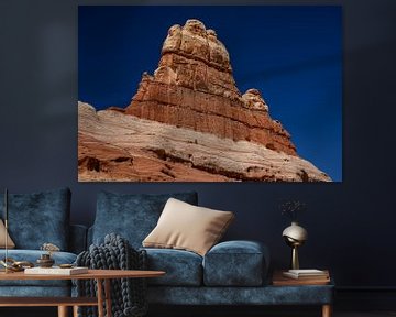 Canyonlands, The Needles District IV by Gerry van Roosmalen