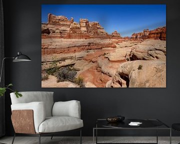 Canyonlands, The Needles District V by Gerry van Roosmalen