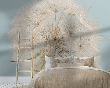 Square with a round fluffy ball of a Tragopogon (Morning Star) by Marjolijn van den Berg