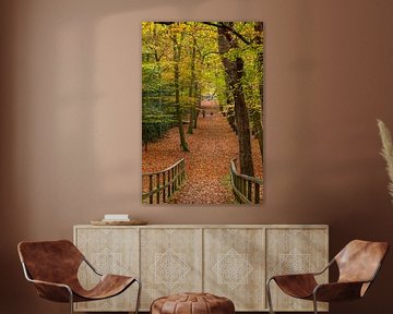 't Oude Hof in Bergen with beautiful trees in autumn colours