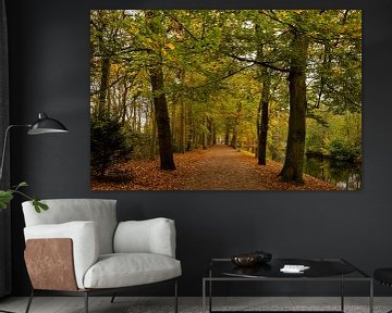 't Oude Hof in Bergen with trees in autumn colours