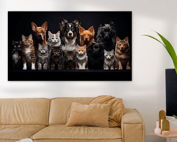Jeu de collage de différents chats et chiens isolés sur fond noir
