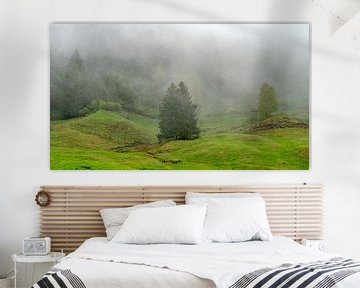 Weiland met bomen in de mist | Allgäu van Flatfield