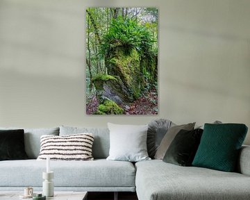 Maulfelsen | Baybachklamm van Flatfield