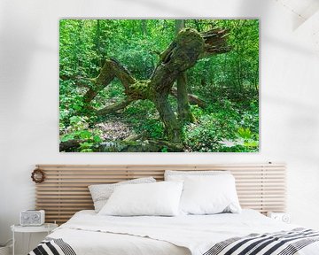 Dreibein-Män | Baumfigur im Wald